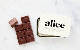 Alice Mushroom Chocolates Tin - Brainstorm